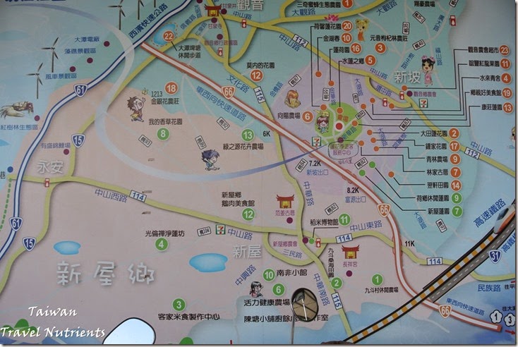 桃園觀音蓮花季 (1)