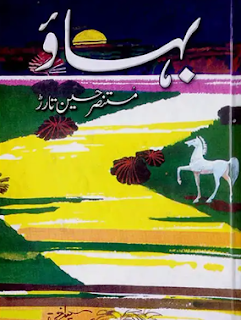 cover of "Bahao" By Mustansar Hussain Tarar