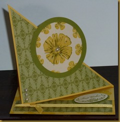 P1000894 (2)