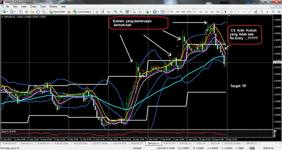 mhv forex