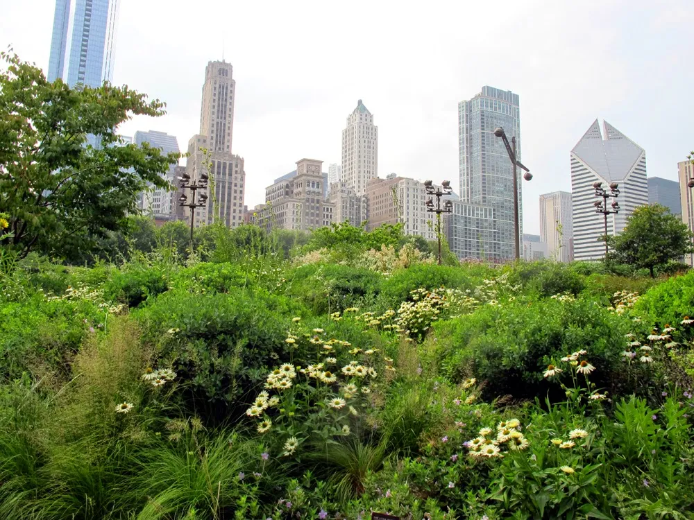 The Chicago Skyline from Grant Park