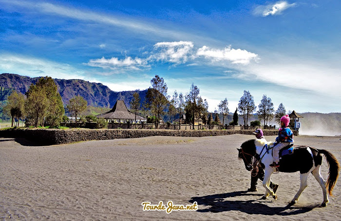 tersedia kuda tumpangan di Bromo