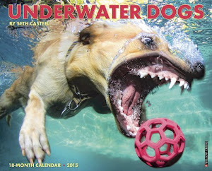 Underwater Dogs 2015 Wall Calendar by Seth Casteel (2014-06-15)