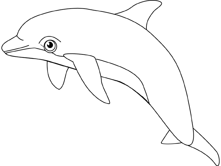 Dolphins Coloring Pages 7