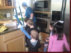 IMG_7491 IMG_7491