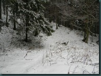 DSCN2505