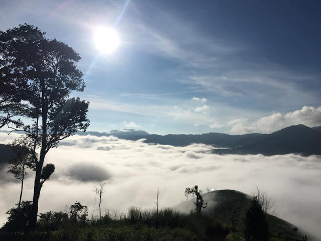 mae tho national park, maetho national park, mae tho, maetho, chiang mai national park, national park in chiang mai