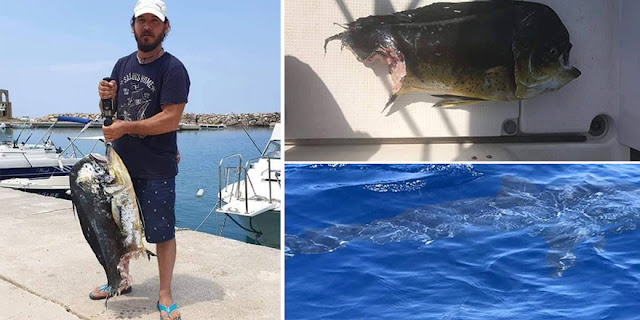 Man catches fish half eaten by a shark off the sea of Cyprus   