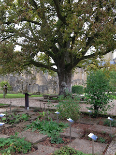 abbazia d'orval