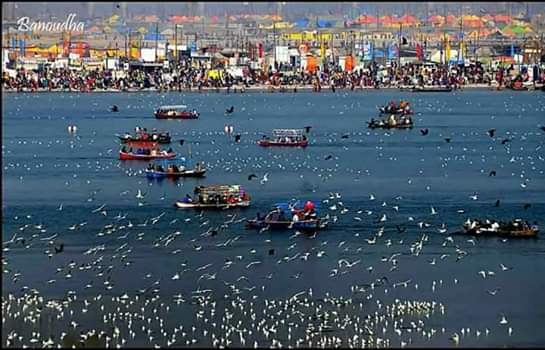 Images Of Kumbh Mela Allahabad