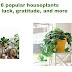 6 Popular houseplants symbolize luck, gratitude,