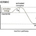 POTENTIAL ENERGY DIAGRAM