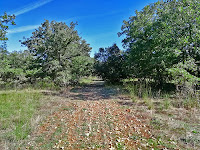 Bosco La Parata - Santeramo in Colle