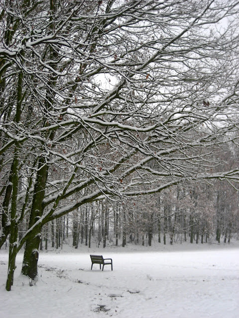 winter in het park