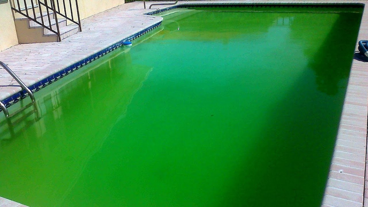 Green Pool Water After Shock
