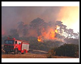 FIRES.DEC.2010