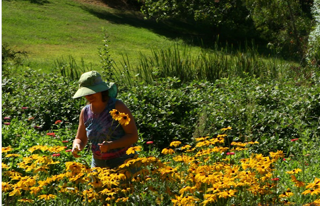 http://www.foothillfarmersmarket.com