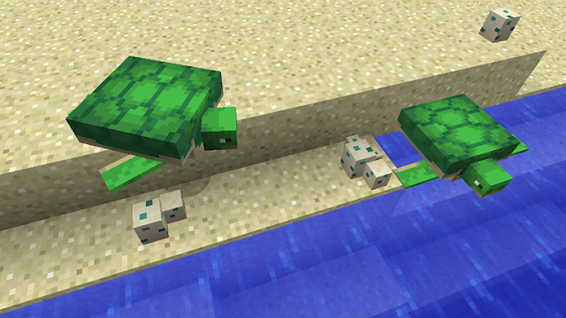 Penyu atau sea turtle minecraft