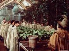 Herbology Class