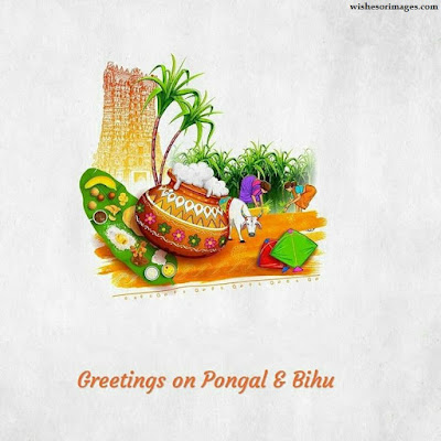 Happy Pongal Images For Family