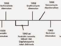 Antibiotik Untuk Produktifitas Ternak Unggas?