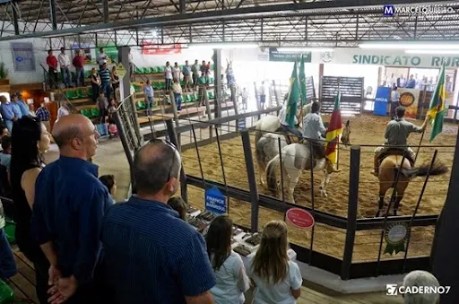 80expofeira_abertura_oficial_25-10-2014_002