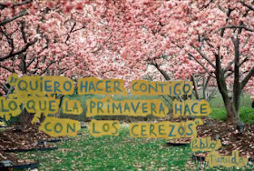 Quiero hacer contigo lo que la primavera hace con los cerezos - Pablo Neruda