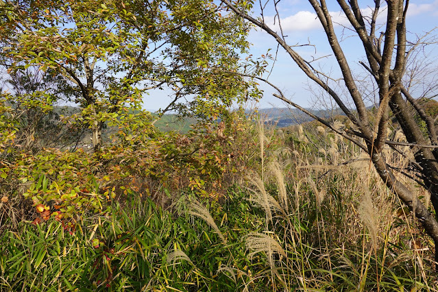 鳥取県西伯郡南部町上中谷 緑水湖展望広場からの眺望
