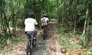 Ride In Middle Bamboo Forest - Bali Countryside Cycling Tour Tracks