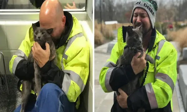 Truck Driver Bursts Into Tears When He Is Reunited With His Lost Travel Buddy After Months Long Search