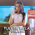 Lirik Lagu Vita Alvia - Tuluse Welas