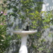 View album