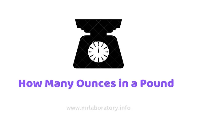 How Many Ounces in a Pound   - mrlaboratory.info