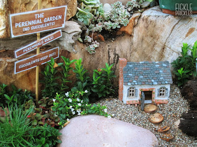 Perennial miniature garden