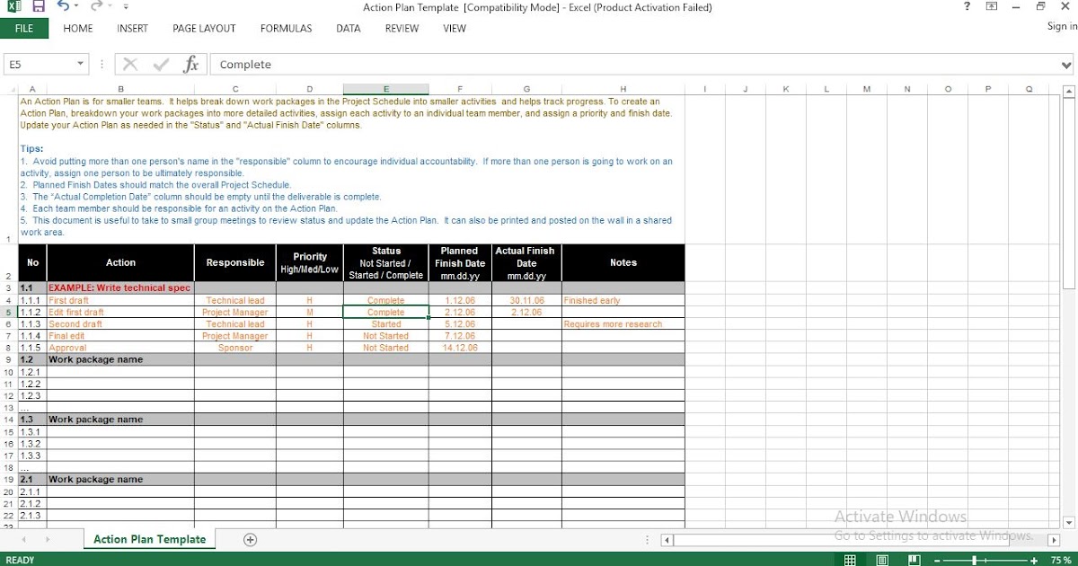 Project Action Plan Template Excel Microsoft Excel Template