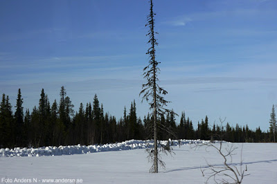 Lappland