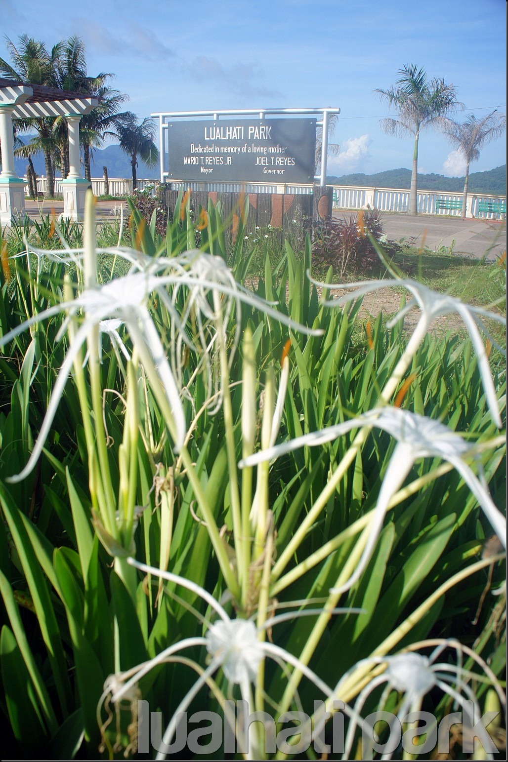 lualhati-park-coron-02