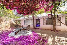 Luxury Resort In Jaipur