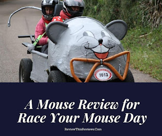 Race Car Derby car with mouse cover