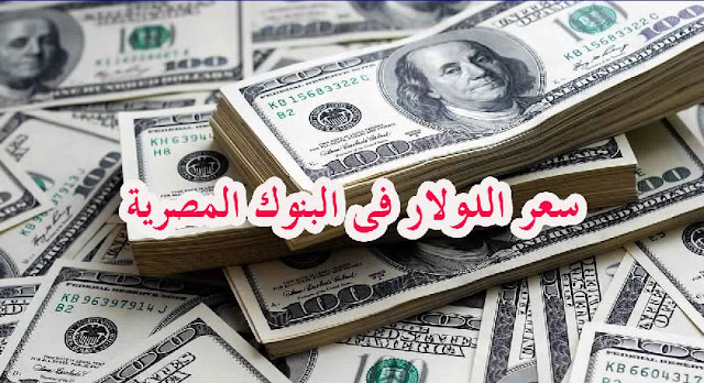 الدولار لايف اسعار الدولار اليوم في مصر الجمعة 6 ديسمبر 2019