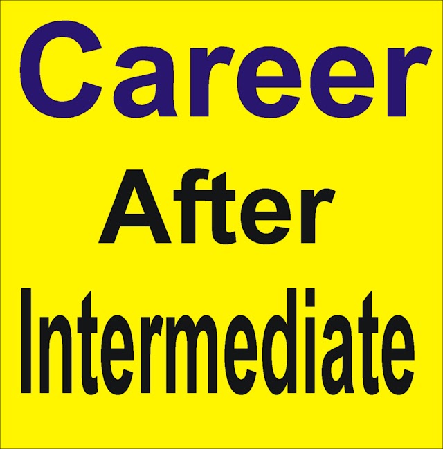 Career after Intermediate