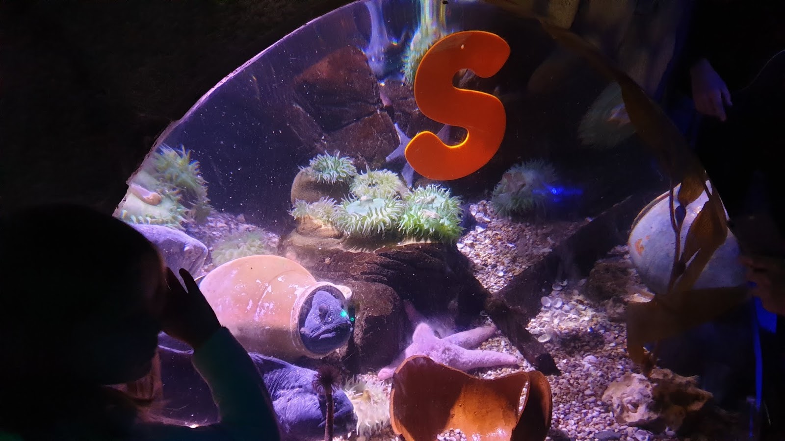 aquarium and letter