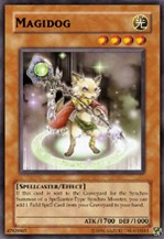 magidog