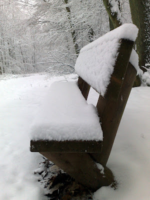 bench, snow, 