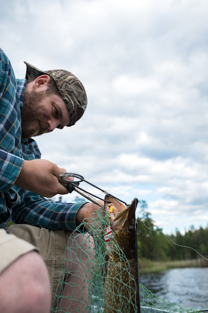 northern pike three lakes big lake