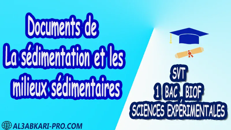 Documents de La sédimentation et les milieux sédimentaires - SVT 1 ère Bac Sciences Expérimentales biof PDF Sciences de la Vie et de la Terre SVT 1 ère Bac Sciences Expérimentales biof Cours résumé devoirs corrigés exercice corrigé Documents Activités Fiche pédagogique Devoir de semestre 1 Devoirs de semestre 2 Exercices corrigés