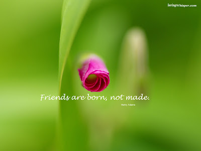 quotes for wallpaper. friendship quotes wallpapers.