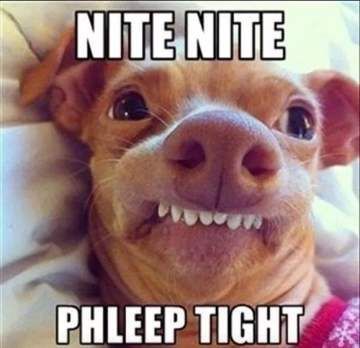 Funny Good Night  Image for dog