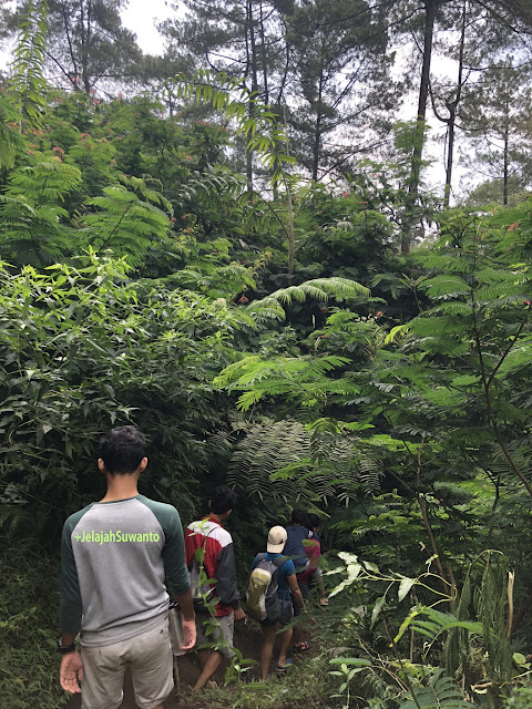 Menuruni Jalan Setapak menuju Curug Badak Batu Hanoman Tasikmalaya || JelajahSuwanto