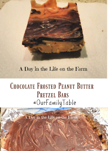 Chocolate Frosted Peanut Butter Pretzel Bars